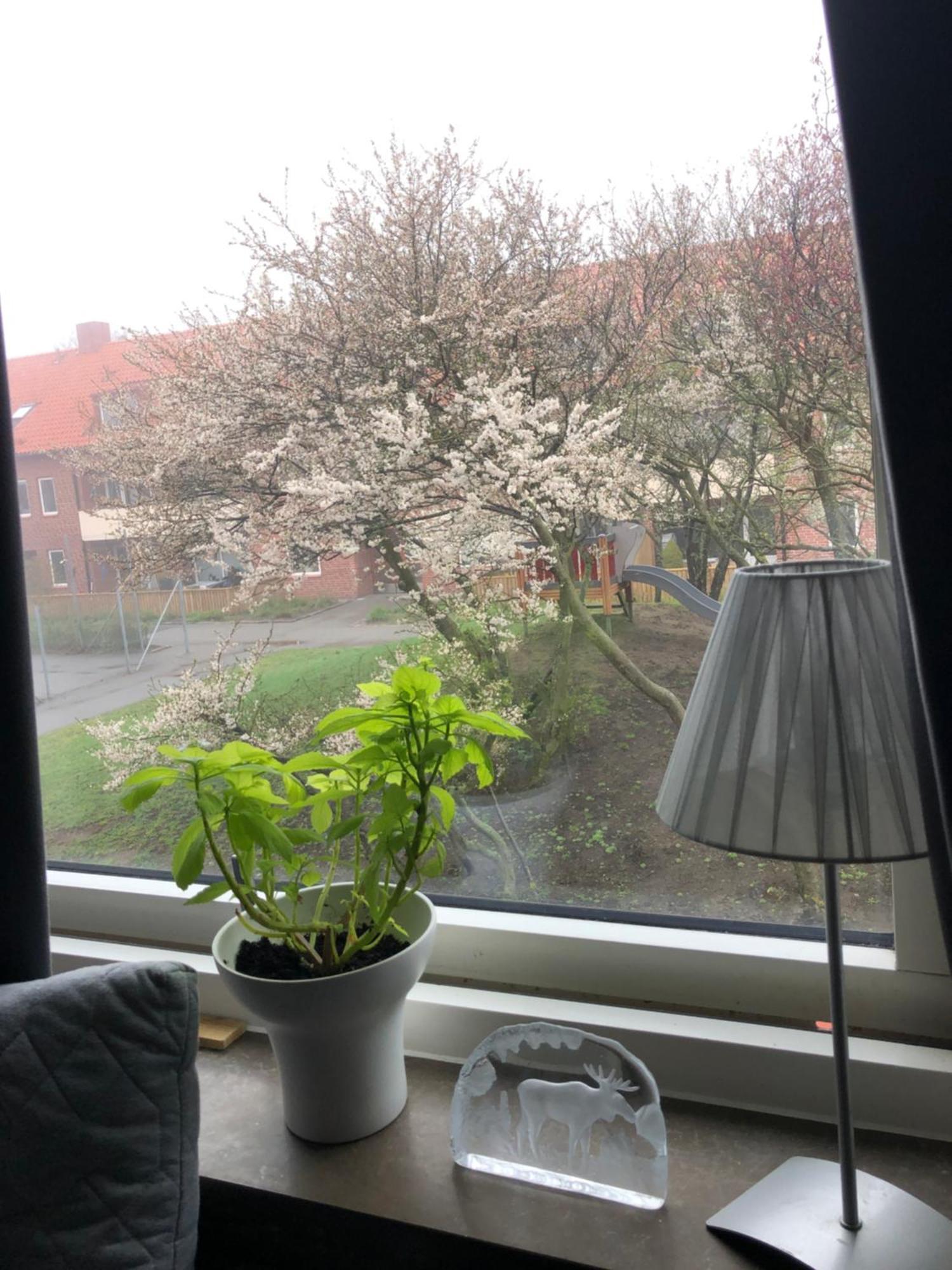 Naera Allt, I Delad Laegenhet Homestay Ystad